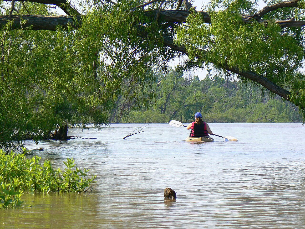 Lake Eufaula